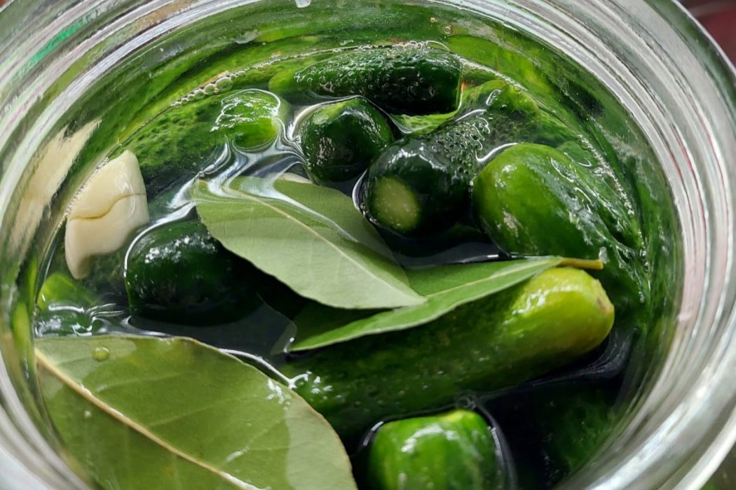 Eylül Esintisi - Ev Yapımı Turşu